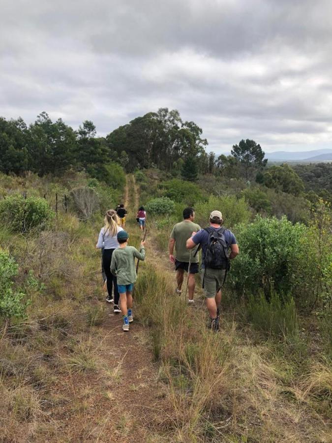 Protea Wilds Retreat Hotel Harkerville Buitenkant foto