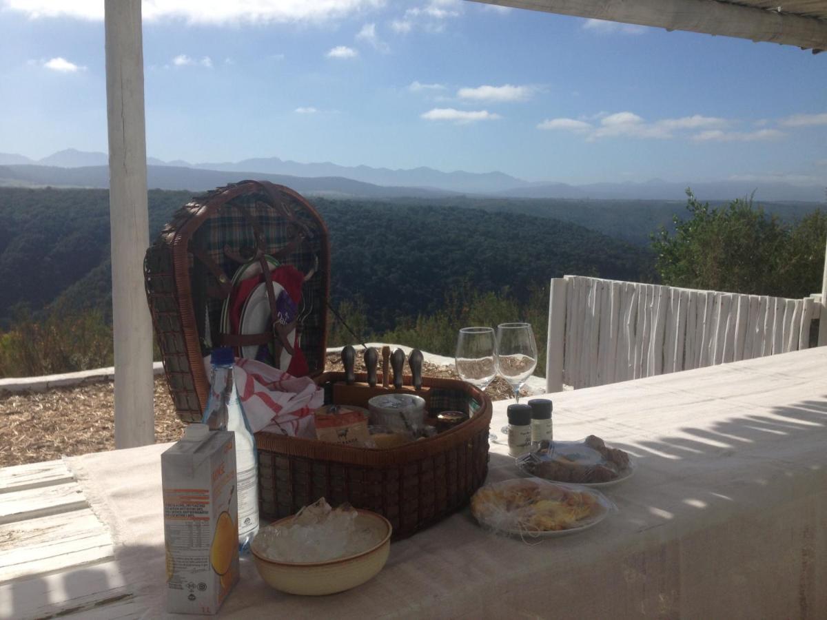Protea Wilds Retreat Hotel Harkerville Buitenkant foto